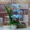 [Đặc biệt hàng ngày] Bướm phong lan nghệ thuật trong chậu Mô phỏng hoa khô Đặt trang trí hoa giả Vườn phòng khách Bàn ăn - Hoa nhân tạo / Cây / Trái cây