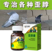 Chim bồ câu Kang cổ điều trị đặc biệt cổ chim bồ câu y học phòng bệnh chim bồ câu bệnh chim bồ câu đua chim cung trẻ - Chim & Chăm sóc chim Supplies