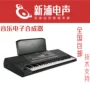 Ke Yin KORG PA600 âm nhạc điện tử tổng hợp sắp xếp bàn phím bàn phím PA300 nâng cấp đàn piano điện yamaha giá rẻ