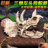 Реалистичный динозавр, череп, украшение, паук, скорпион