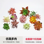 Cây nhân tạo mọng nước phụ kiện tự làm hoa cắm hoa vật liệu hoa nhân tạo nhựa nhân tạo - Hoa nhân tạo / Cây / Trái cây