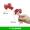 Cây nhân tạo mọng nước phụ kiện tự làm hoa cắm hoa vật liệu hoa nhân tạo nhựa nhân tạo - Hoa nhân tạo / Cây / Trái cây hoa đào giả