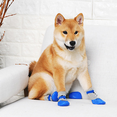 Носки для животных