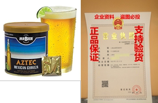 Электронный словарь mr. beer aztec mexican