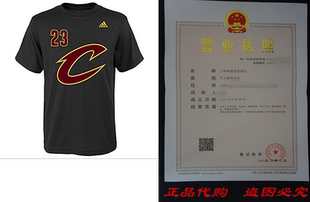 Lebron James Cleveland Cavaliers Youth Black Alternate Logo