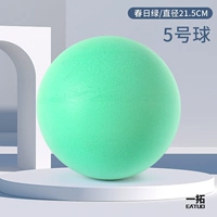 № 5 Тихий мяч [зеленый] диаметр 21 см.