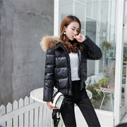 2018 thời trang mới mùa đông xuống áo khoác nữ ngắn phần dày dày siêu mỏng cổ áo phiên bản Hàn Quốc của áo khoác thắt lưng thủy triều