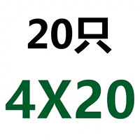 Φ4*20 (20)