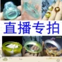 Tự nhiên Saitama Taobao Chụp liên kết trực tiếp Ngọc bích Vòng đeo tay Mặt dây chuyền Mặt dây chuyền Vòng tay cầm Đá gốc - Vòng đeo tay Cuff vòng pandora pnj