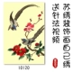 Su thêu gói vật liệu tự làm dành cho người mới bắt đầu học thủ công phong cách Trung Quốc Mẫu thêu Tô Châu tự thêu hoa quýt và loạt thêu chim
