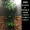 Cây giả mây mô phỏng cây nho cảnh quan hoa nho cây xanh tường cây nho nhánh lớn trong nhà trang trí cây - Hoa nhân tạo / Cây / Trái cây