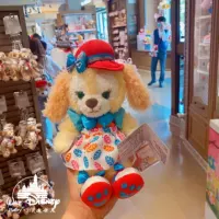 Cookie