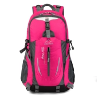 Роза красная