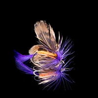 12 коробок мух приманка костюмы крюч