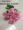 Mô phỏng Cây hoa mẫu đơn Cây xanh Đặt phòng khách Trang trí phòng cưới bằng nhựa Hoa lụa Hoa giả Máy tính để bàn Hoa mẫu đơn Châu Âu - Hoa nhân tạo / Cây / Trái cây
