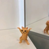 Tabby Yellow Cat [Гарантия качества]