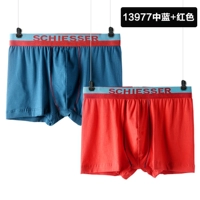 13977 синий/красный