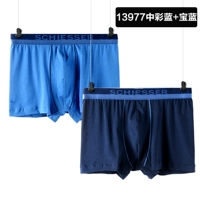 13977 Средний цвет синий/сокровище синий