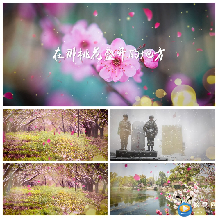 S1925 在那桃花盛开的地方 歌曲MV 配乐成品 美背景视频素材制