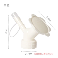 Солнечное цветочное сопло белое