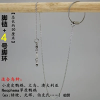 Тонкая цепь +4 (общая длина 50 см)