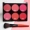 Má hồng sáu màu Kết hợp nhiều màu phấn mắt bóng cao cấp bộ chính hãng trang trí Rong Rouge Pearlescent trang điểm 腮红 - Blush / Cochineal