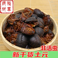 Tuyuan 250 граммов бесплатной доставки новые сухие товары китайские лекарственные материалы Dadiworm Turgoton Cordywoma Dry Shouldeds, почвенные черви розового розового цвета