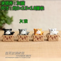 Серый кот для усыновления 1