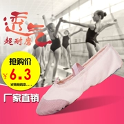 Giày da đào tạo múa ba lê màu hồng - Khiêu vũ / Thể dục nhịp điệu / Thể dục dụng cụ
