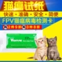 Meerkat virus test dải FPV test dải 1 mẩu giấy mèo giảm bạch cầu mèo tiêu chảy nôn - Cat / Dog Medical Supplies Dụng cụ thú y Hà Nội