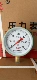Hongqi Y-100 đồng hồ đo áp suất khí nước dầu âm đồng hồ đo áp suất chất lỏng 1.6 cấp độ chân không đo xuyên tâm 2.5MPa vòi nước hơi nước