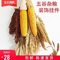 Фермеры декоративные зерно зерновой куриная кукурузная струна осенние сельскохозяйственные продукты