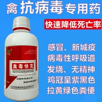 Птиццевая птица Медицина с курицей Антивирусный вирус вирус вирус вирус вирусной вирус.