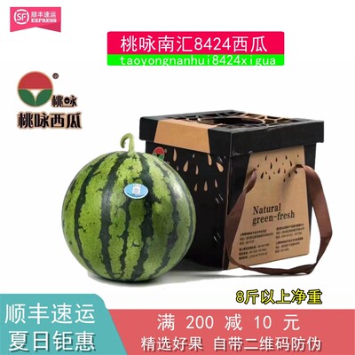 Аутентичный Shanghai Nanhui Tao Yong 8424 Абурс 8 фунтов черных семян хрустящие свежие фрукты, ненуникорновая дыня приборная