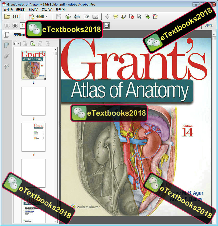 Grant's Atlas Of Anatomy: Review Kenhub | atelier-yuwa.ciao.jp