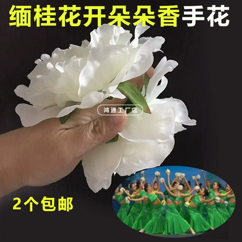 Dai Dancing Reps Burmese Osmanthus Цветение волос с ароматными волосами