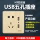 H3 Gold Five -Hole Double USB (2.1a)