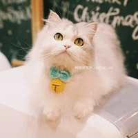 Зеленый шарф