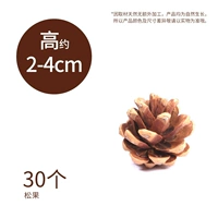 Мацуми [30 установка] высотой 2-4 см высотой