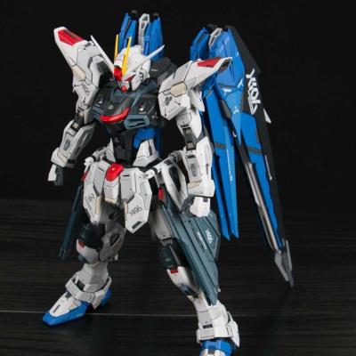 Freedom 2.0 (Large Class)Special clearance price Big class DX Model Assembly MG1 / 100 , z , Yellow Wolf , storm , heresy free