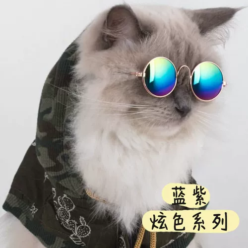 Забавные солнцезащитные очки, брендовая хлопковая кукла, аксессуар, кот, домашний питомец, наряжаться