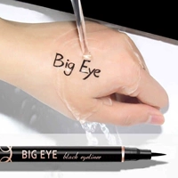 1 Pcs Eyeliner Liquid Pen Waterproof Long Lasting Quick Dryi