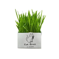 1 упаковка/органическая кошачья трава [Помогая мячу для волос -шар]