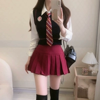 Юбка в складку, рубашка, жилет, галстук