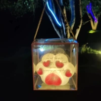 Кошка когтя ночной свет+подарочная коробка