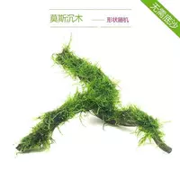 Треугольник Моски