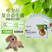 Chỉ pet pet probiotics dạ dày kho báu điều hòa dạ dày mèo Teddy dog ​​dog probiotics sản phẩm y tế