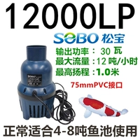 Songbao WP-12000LP