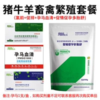 Беременная лошадь 1+ Продвижение+фронт хлора+порошок любви (каждый 1)