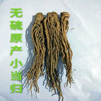 Shengxian Pure Natural Wild Angelica 500 Бесплатные Синзи Синдзи Китайский медицина Бесплатно бесплатно после порошка бензи